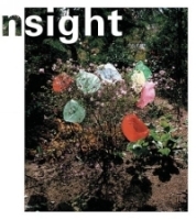 In Sight: Contemporary Dutch Photography from the Collection of the Stedelijk Museum, Amsterdam артикул 1512a.