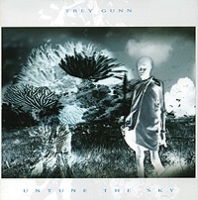 Trey Gunn Untune The Sky артикул 9255b.